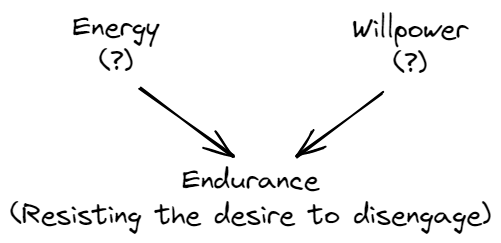 Endurance model
