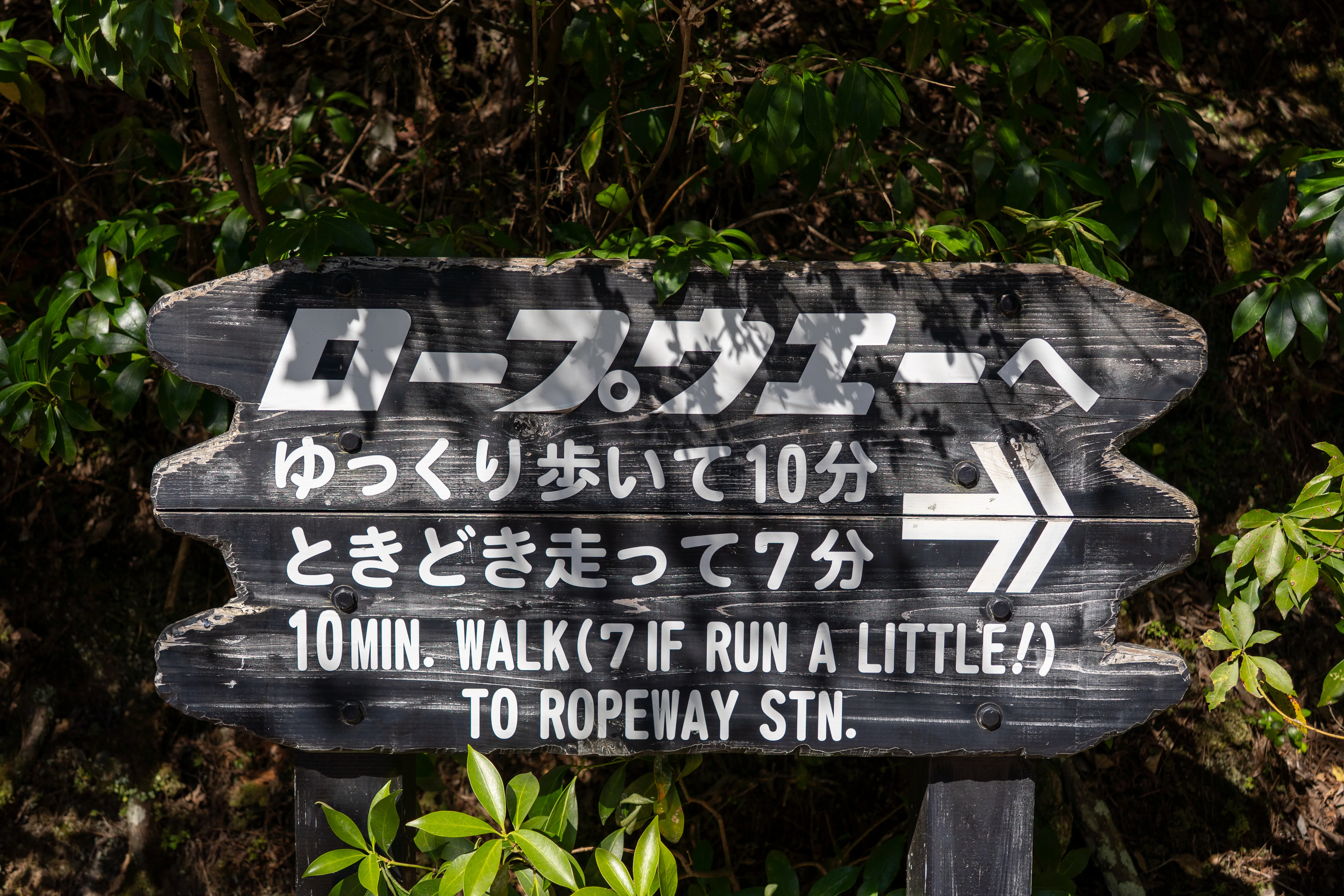 Ropeway run sign